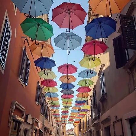 Apartament Novigrad Centre *